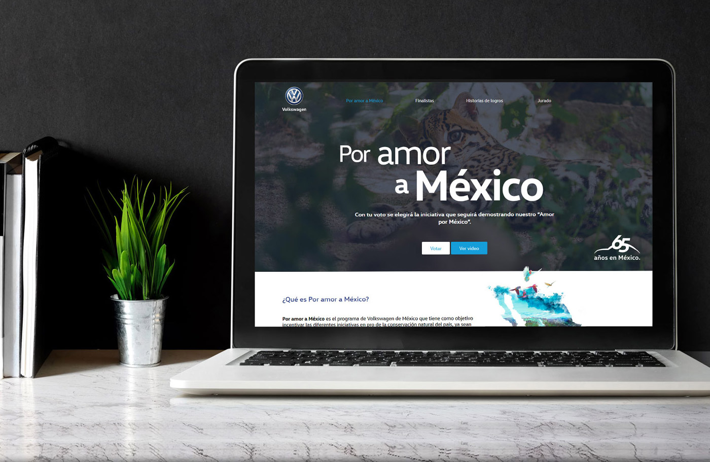 por-amor-a-mexico-volkswagen-1